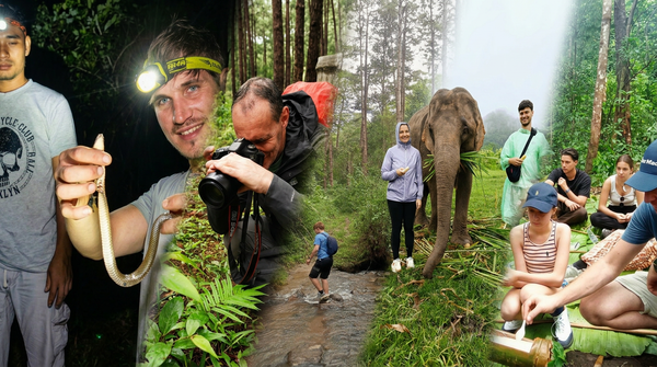 Exploring the Jungle Trails of Chiang Mai